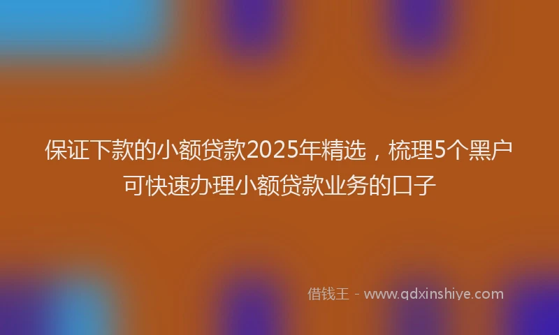 保证下款的小额贷款2025年精选，梳理5个黑户可快速办理小额贷款业务的口子