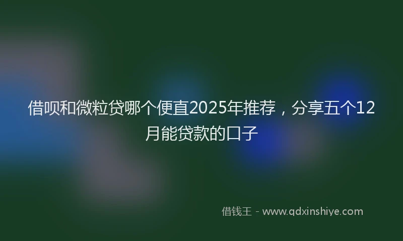 借呗和微粒贷哪个便直2025年推荐，分享五个12月能贷款的口子