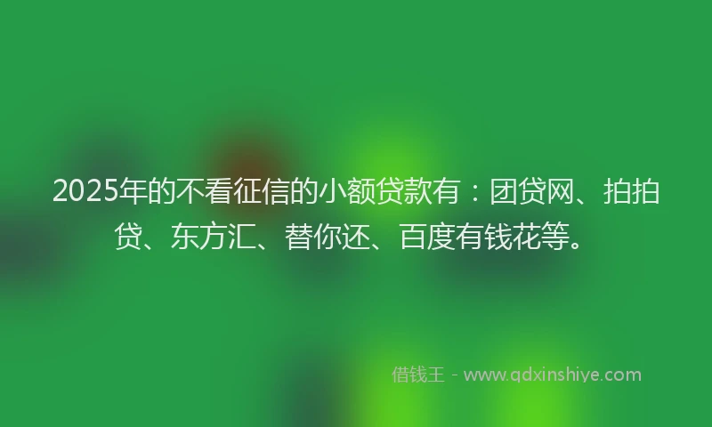 2025年的不看征信的小额贷款有：团贷网、拍拍贷、东方汇、替你还、百度有钱花等。