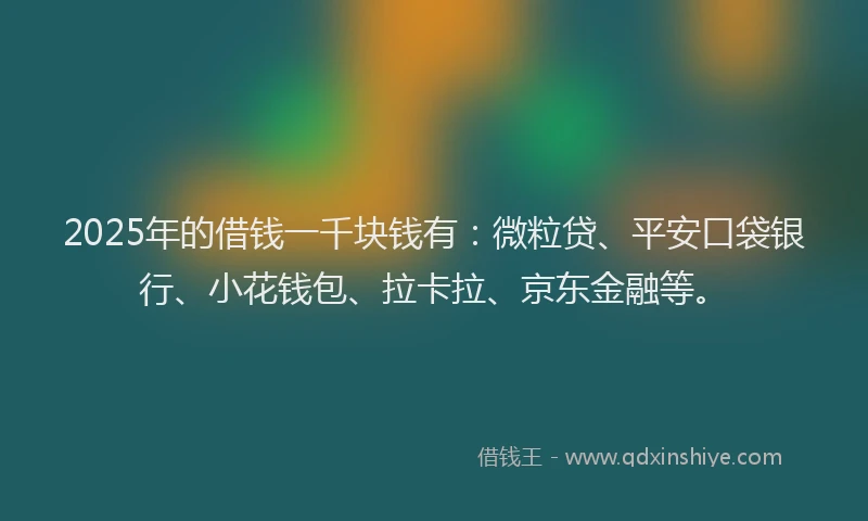 2025年的借钱一千块钱有：微粒贷、平安口袋银行、小花钱包、拉卡拉、京东金融等。