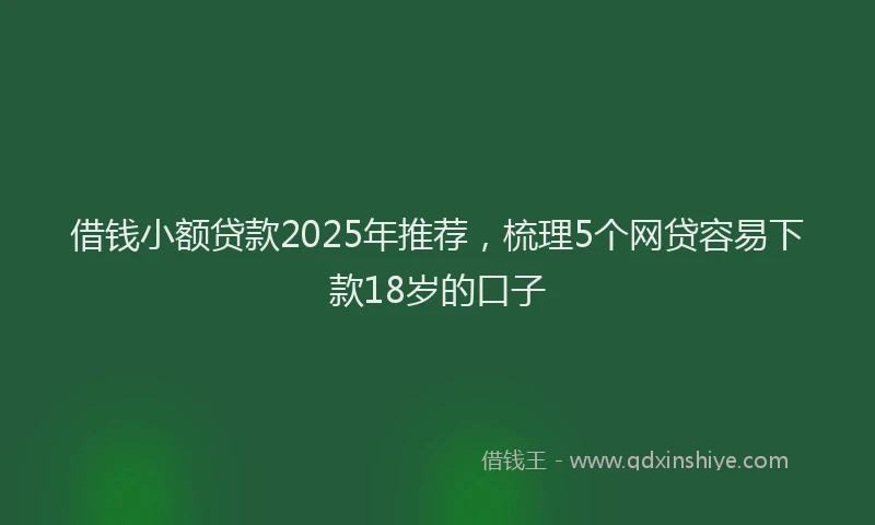 借钱小额贷款2025年推荐，梳理5个网贷容易下款18岁的口子
