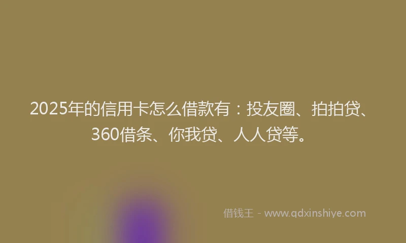 2025年的信用卡怎么借款有：投友圈、拍拍贷、360借条、你我贷、人人贷等。