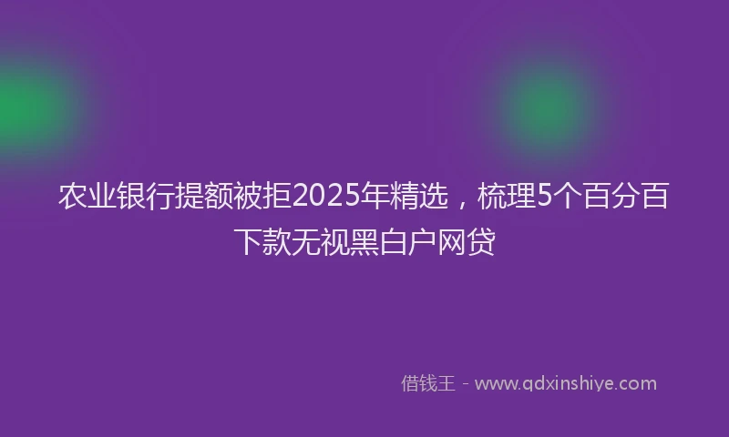 农业银行提额被拒2025年精选，梳理5个百分百下款无视黑白户网贷