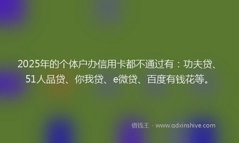 2025年的个体户办信用卡都不通过有：功夫贷、51人品贷、你我贷、e微贷、百度有钱花等。