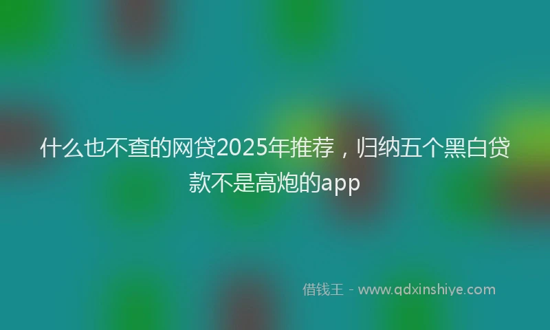 什么也不查的网贷2025年推荐，归纳五个黑白贷款不是高炮的app