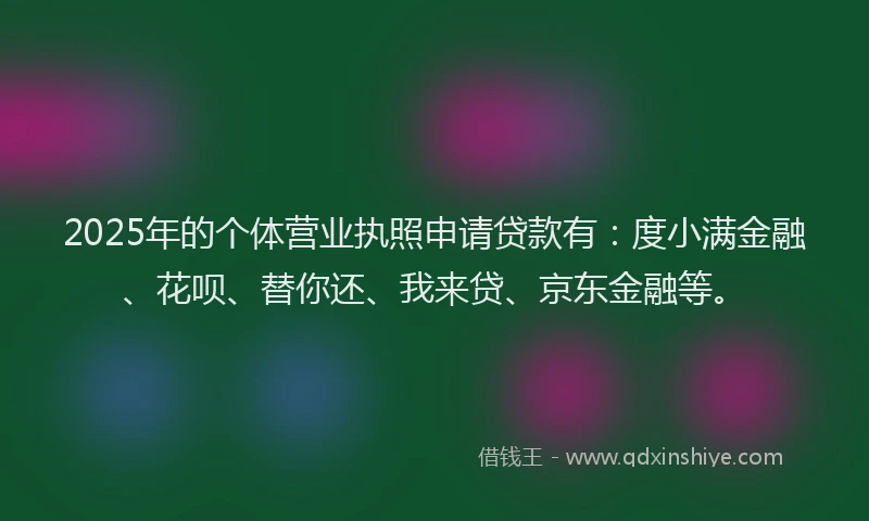 2025年的个体营业执照申请贷款有：度小满金融、花呗、替你还、我来贷、京东金融等。