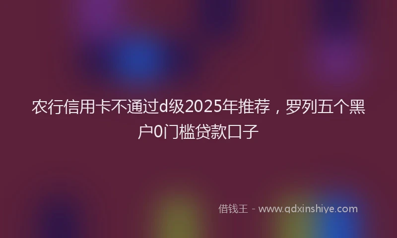 农行信用卡不通过d级2025年推荐，罗列五个黑户0门槛贷款口子