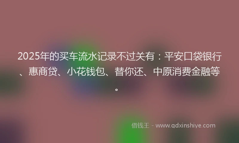 2025年的买车流水记录不过关有：平安口袋银行、惠商贷、小花钱包、替你还、中原消费金融等。