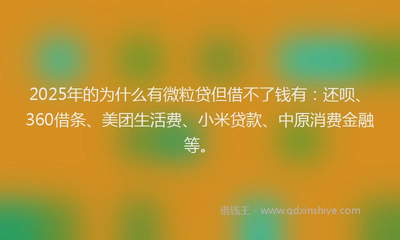2025年的为什么有微粒贷但借不了钱有：还呗、360借条、美团生活费、小米贷款、中原消费金融等。