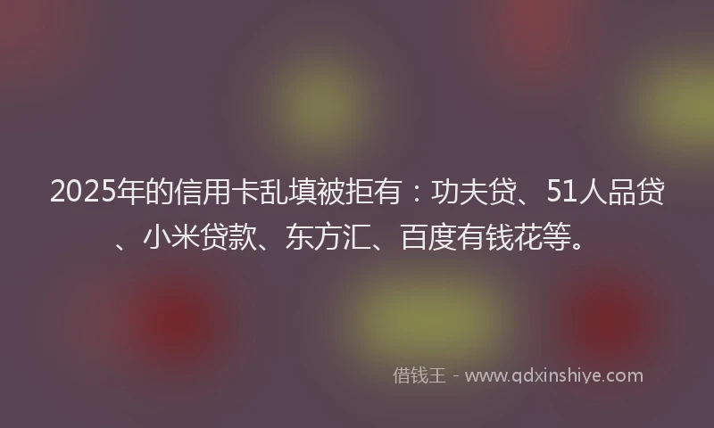 2025年的信用卡乱填被拒有：功夫贷、51人品贷、小米贷款、东方汇、百度有钱花等。