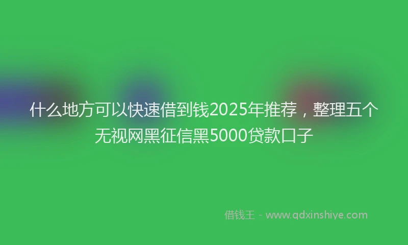 什么地方可以快速借到钱2025年推荐，整理五个无视网黑征信黑5000贷款口子