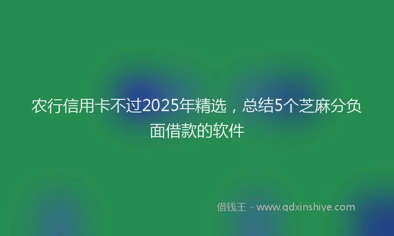 农行信用卡不过2025年精选，总结5个芝麻分负面借款的软件