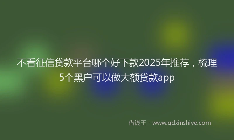 不看征信贷款平台哪个好下款2025年推荐，梳理5个黑户可以做大额贷款app