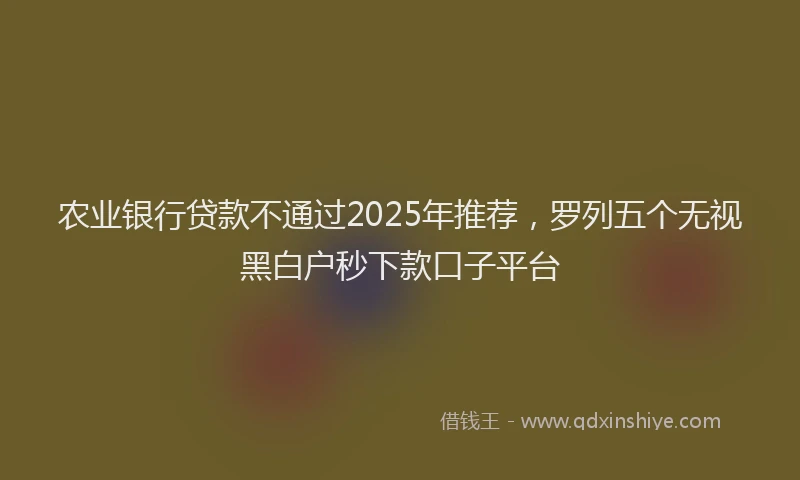 农业银行贷款不通过2025年推荐，罗列五个无视黑白户秒下款口子平台