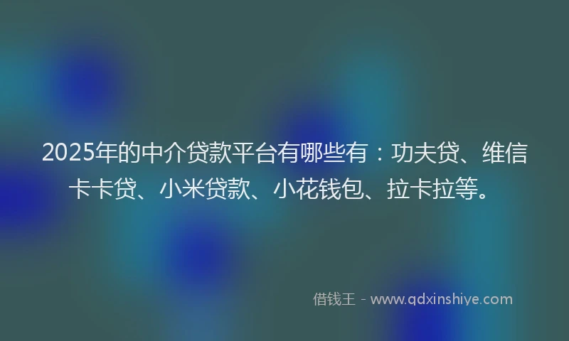 2025年的中介贷款平台有哪些有：功夫贷、维信卡卡贷、小米贷款、小花钱包、拉卡拉等。