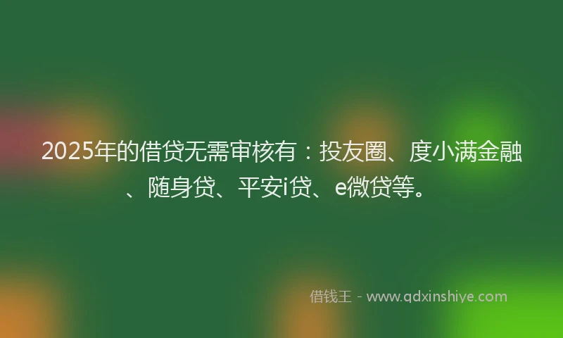 2025年的借贷无需审核有：投友圈、度小满金融、随身贷、平安i贷、e微贷等。