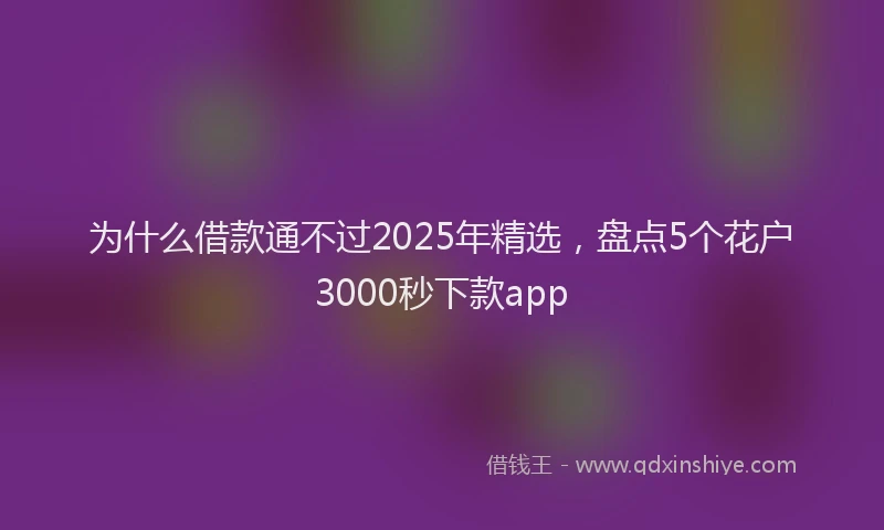为什么借款通不过2025年精选，盘点5个花户3000秒下款app