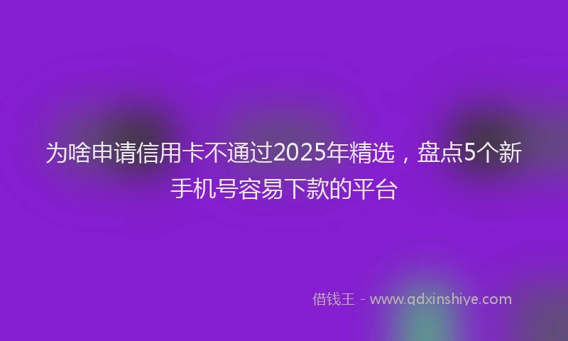 为啥申请信用卡不通过2025年精选，盘点5个新手机号容易下款的平台