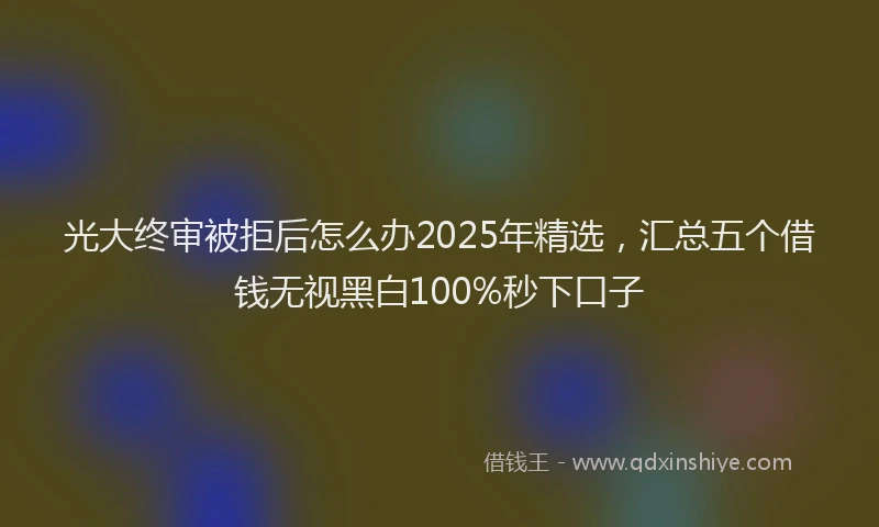 光大终审被拒后怎么办2025年精选，汇总五个借钱无视黑白100%秒下口子