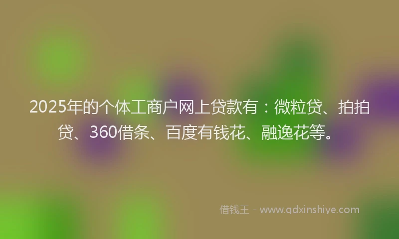2025年的个体工商户网上贷款有：微粒贷、拍拍贷、360借条、百度有钱花、融逸花等。
