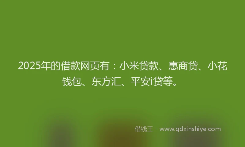 2025年的借款网页有：小米贷款、惠商贷、小花钱包、东方汇、平安i贷等。