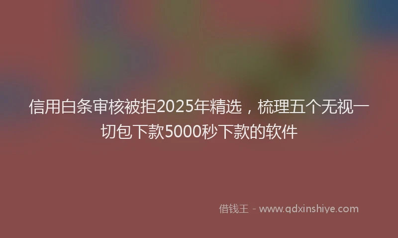 信用白条审核被拒2025年精选，梳理五个无视一切包下款5000秒下款的软件