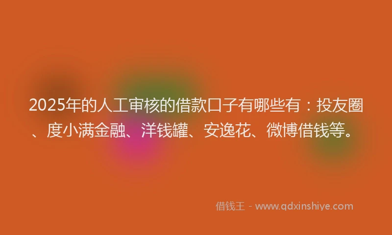2025年的人工审核的借款口子有哪些有：投友圈、度小满金融、洋钱罐、安逸花、微博借钱等。