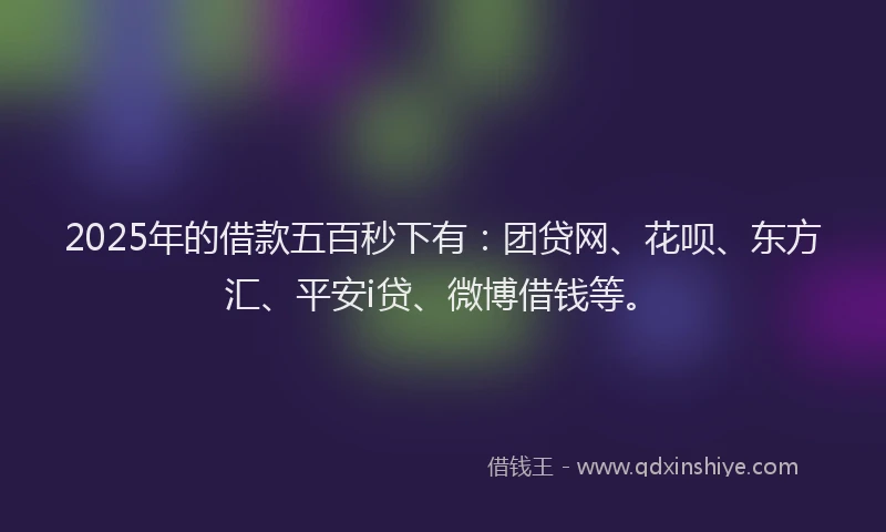 2025年的借款五百秒下有：团贷网、花呗、东方汇、平安i贷、微博借钱等。