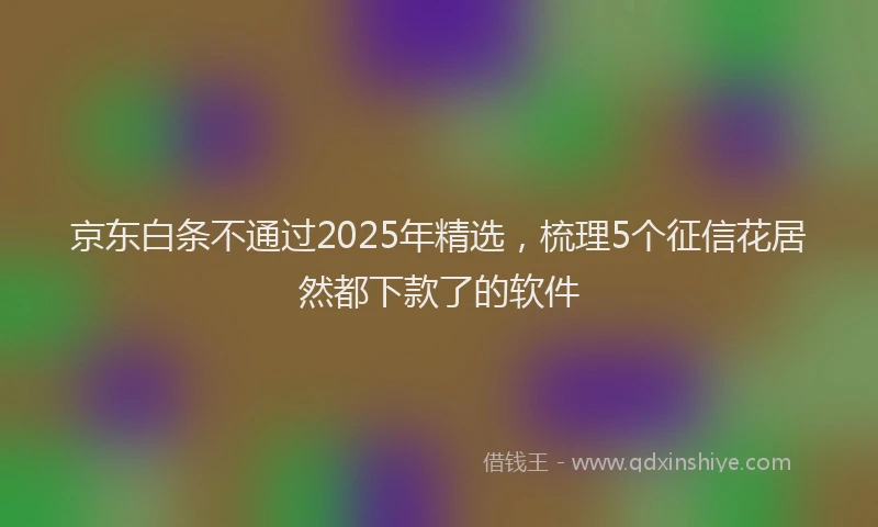 京东白条不通过2025年精选，梳理5个征信花居然都下款了的软件