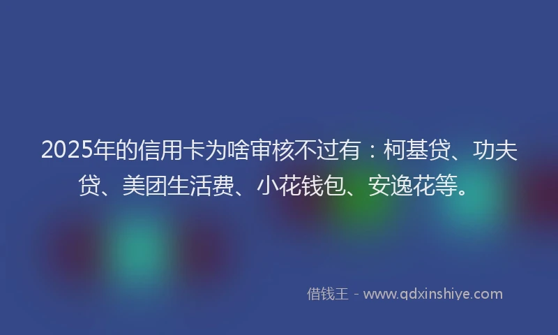 2025年的信用卡为啥审核不过有：柯基贷、功夫贷、美团生活费、小花钱包、安逸花等。