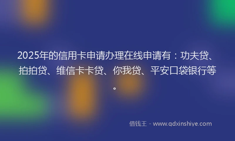 2025年的信用卡申请办理在线申请有：功夫贷、拍拍贷、维信卡卡贷、你我贷、平安口袋银行等。