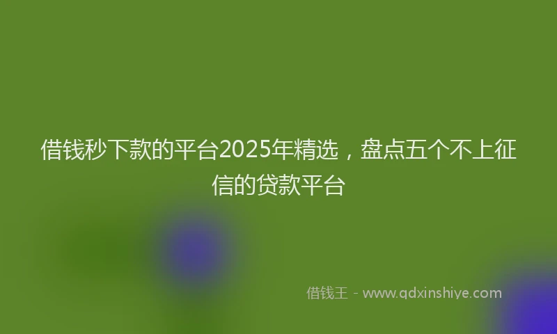 借钱秒下款的平台2025年精选，盘点五个不上征信的贷款平台
