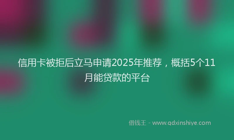 信用卡被拒后立马申请2025年推荐，概括5个11月能贷款的平台