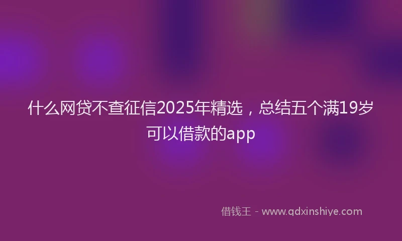 什么网贷不查征信2025年精选，总结五个满19岁可以借款的app