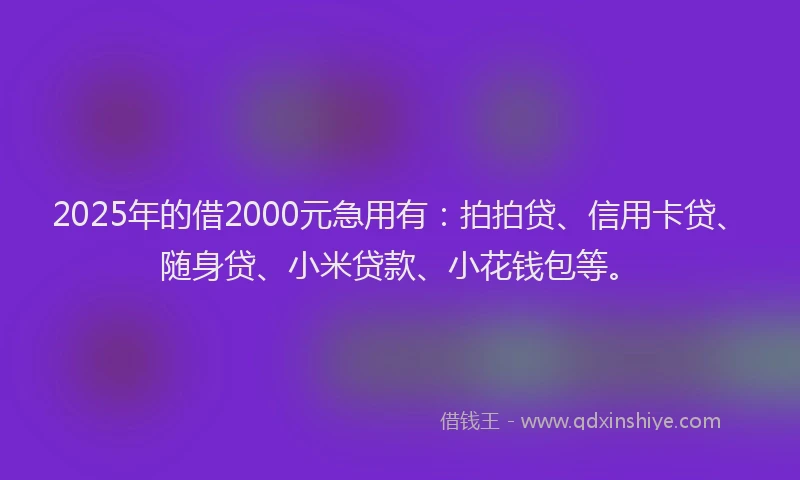 2025年的借2000元急用有：拍拍贷、信用卡贷、随身贷、小米贷款、小花钱包等。
