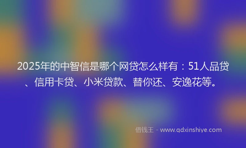 2025年的中智信是哪个网贷怎么样有：51人品贷、信用卡贷、小米贷款、替你还、安逸花等。
