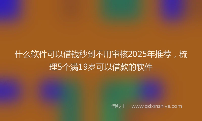 什么软件可以借钱秒到不用审核2025年推荐，梳理5个满19岁可以借款的软件