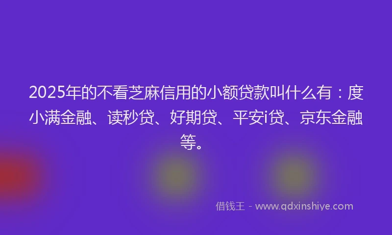 2025年的不看芝麻信用的小额贷款叫什么有：度小满金融、读秒贷、好期贷、平安i贷、京东金融等。