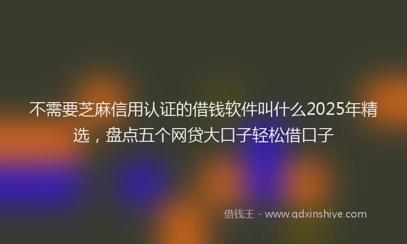 不需要芝麻信用认证的借钱软件叫什么2025年精选，盘点五个网贷大口子轻松借口子