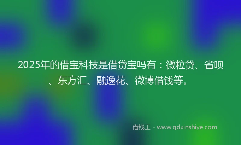 2025年的借宝科技是借贷宝吗有：微粒贷、省呗、东方汇、融逸花、微博借钱等。
