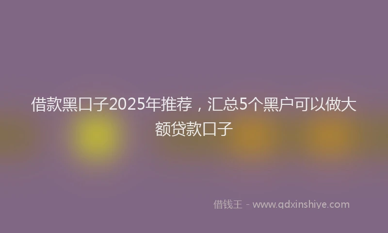 借款黑口子2025年推荐，汇总5个黑户可以做大额贷款口子