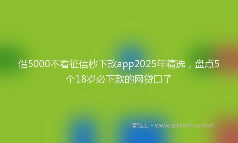 借5000不看征信秒下款app2025年精选，盘点5个18岁必下款的网贷口子