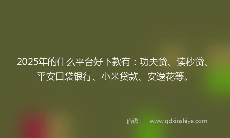 2025年的什么平台好下款有：功夫贷、读秒贷、平安口袋银行、小米贷款、安逸花等。