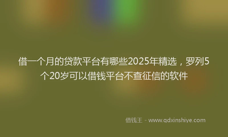 借一个月的贷款平台有哪些2025年精选，罗列5个20岁可以借钱平台不查征信的软件