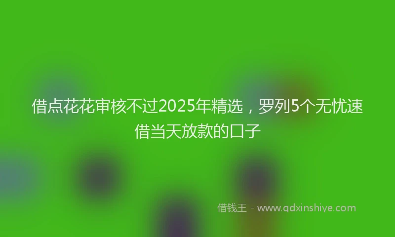 借点花花审核不过2025年精选，罗列5个无忧速借当天放款的口子