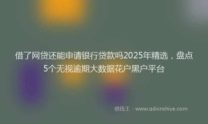 借了网贷还能申请银行贷款吗2025年精选，盘点5个无视逾期大数据花户黑户平台