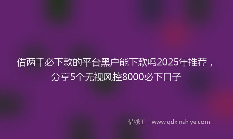 借两千必下款的平台黑户能下款吗2025年推荐，分享5个无视风控8000必下口子