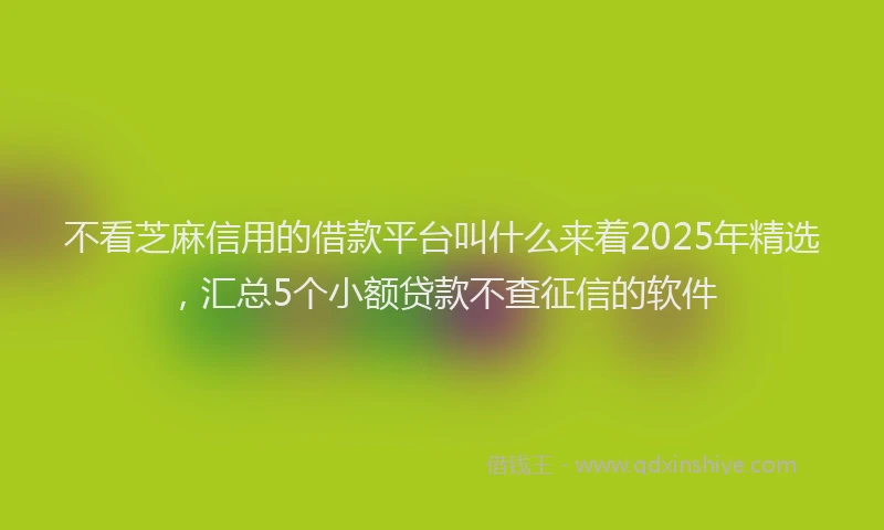 不看芝麻信用的借款平台叫什么来着2025年精选，汇总5个小额贷款不查征信的软件