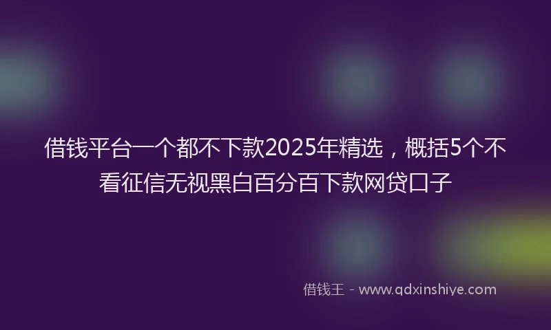 借钱平台一个都不下款2025年精选，概括5个不看征信无视黑白百分百下款网贷口子