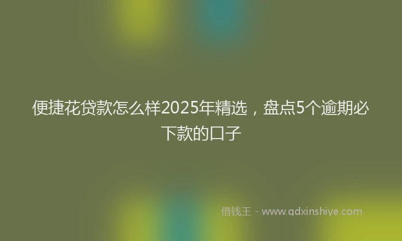 便捷花贷款怎么样2025年精选，盘点5个逾期必下款的口子